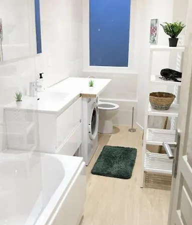 Cosy Jungle - Centre-ville -parking Prive - Wifi Apartment