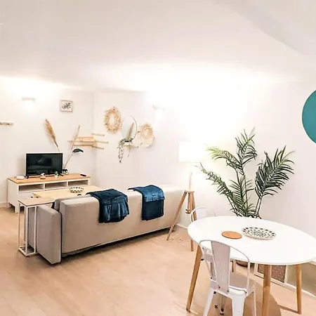 Apartment Cosy Jungle - Centre-ville -parking Prive - Wifi