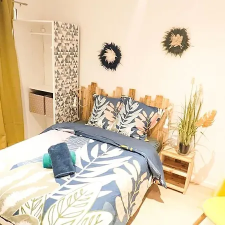 Cosy Jungle - Centre-ville -parking Prive - Wifi Pau